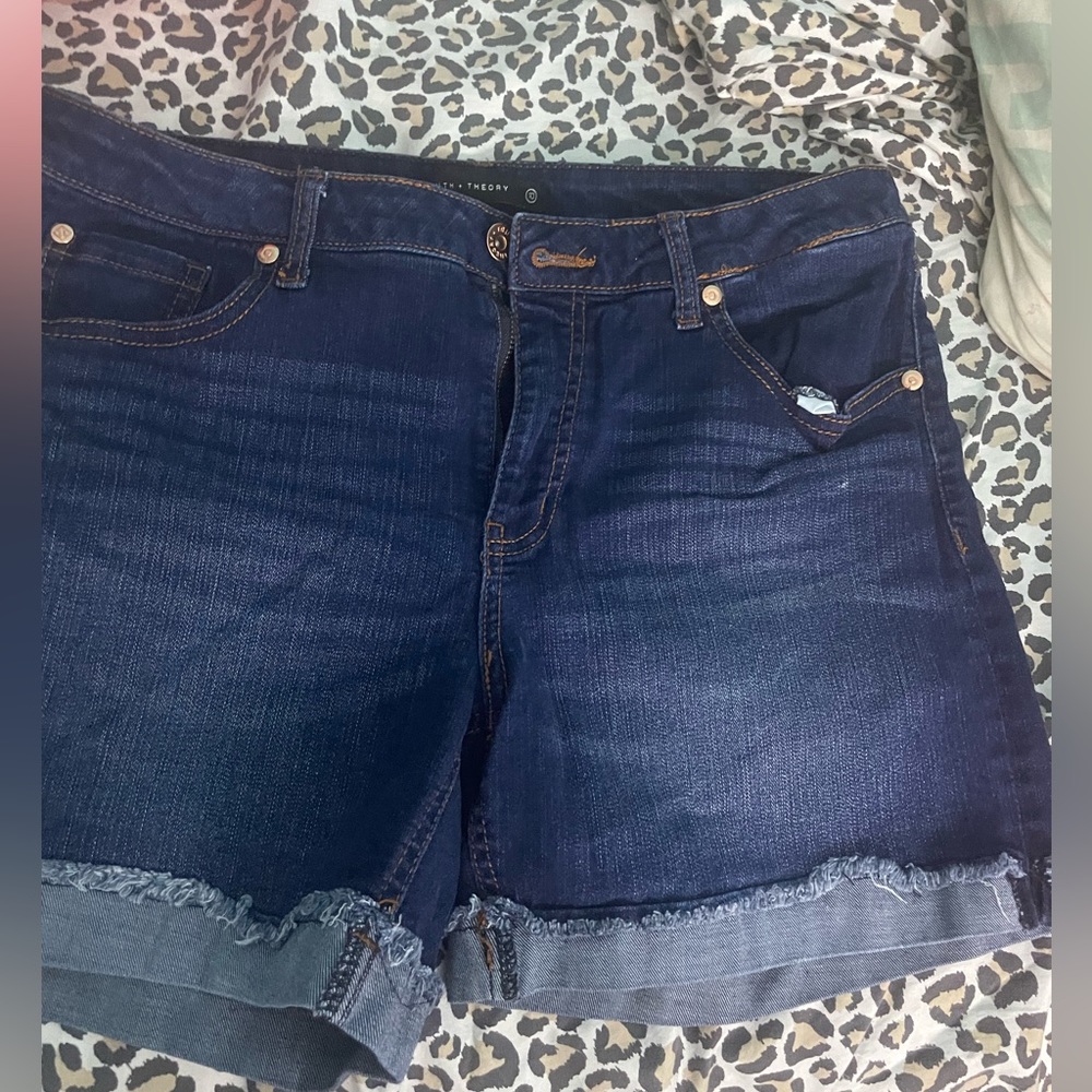 Truth+theory shorts